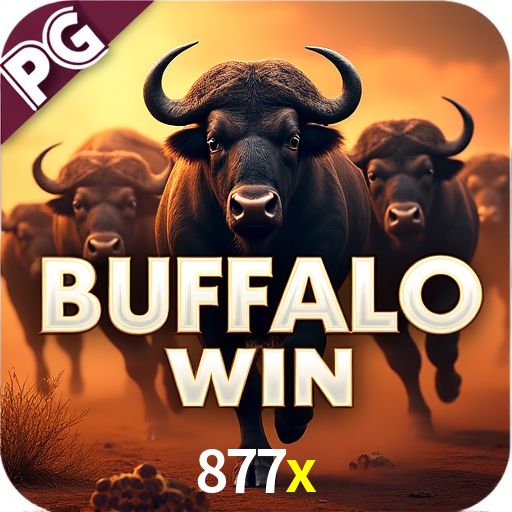 877x plataforma