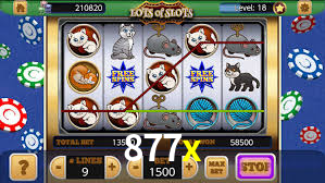 Tennis Betting 877x